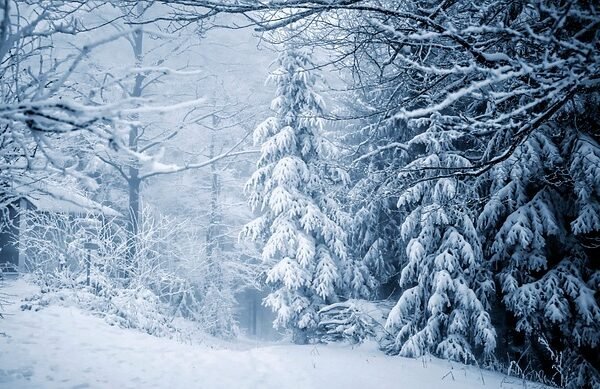 Winter Holiday Bargains Await: Explore Amazing Deals on Gifts, Travel, and Festive Fun!