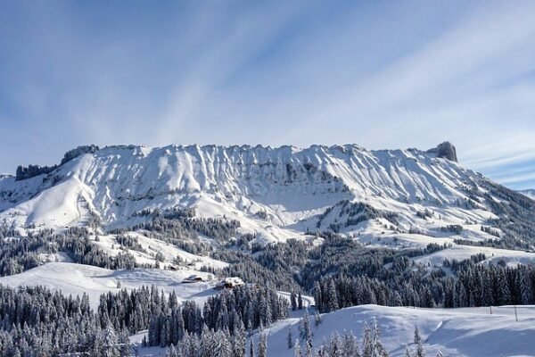 Winter Holiday Savings Bonanza: Discover Unforgettable Deals on Gifts, Travel, and Festive Fun!